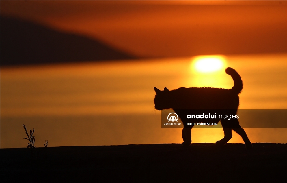 Sunset in Turkey's Trabzon