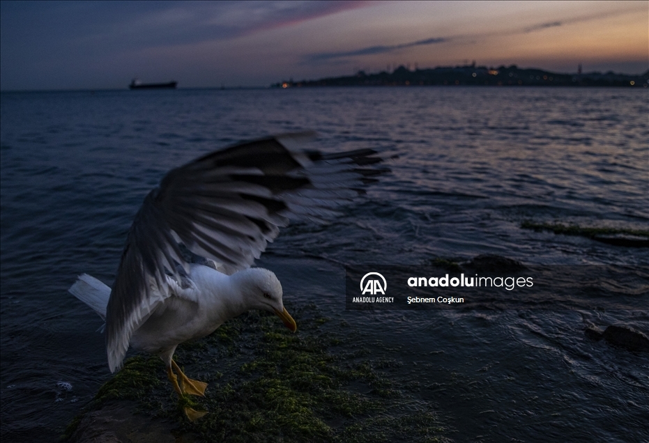Sunset in Istanbul