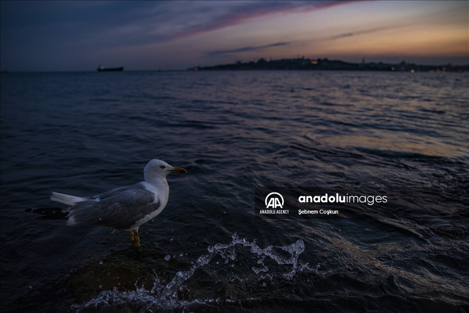 Sunset in Istanbul