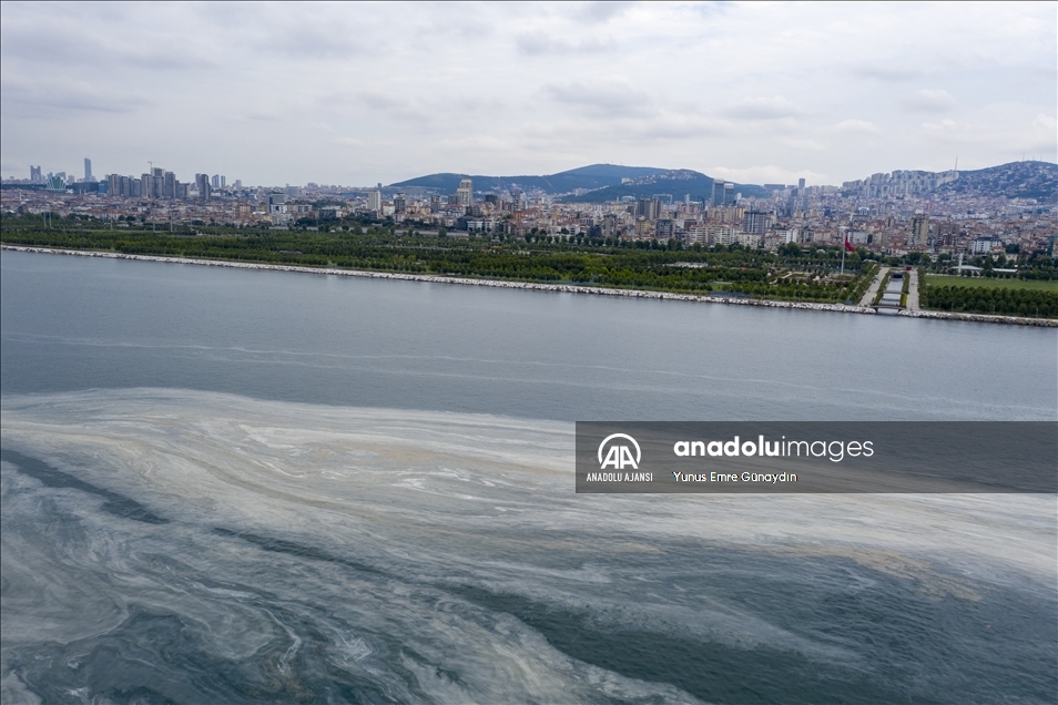 İstanbul'da müsilaj temizleme çalışmaları sürüyor