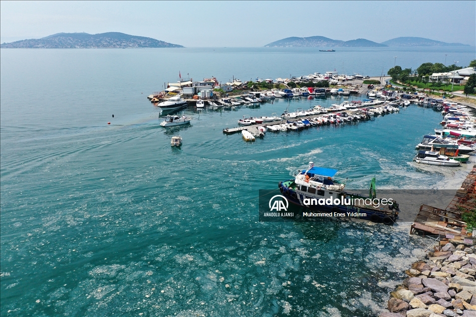 Deniz salyası Anadolu Yakası'nda bazı bölgelerde görülmeye devam ediyor