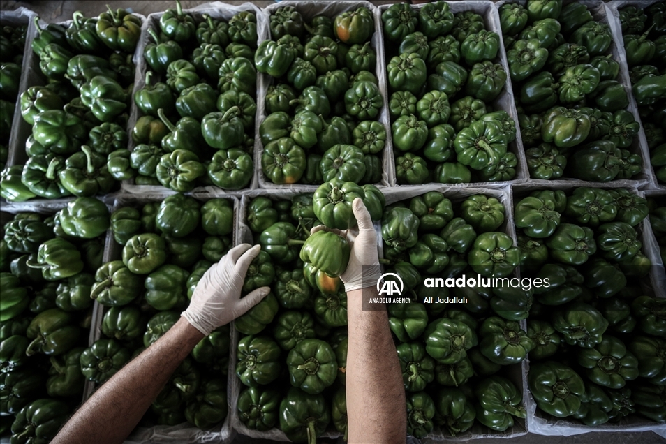 إسرائيل تخفف القيود على معابر "غزة" دون فتحها بشكل كامل