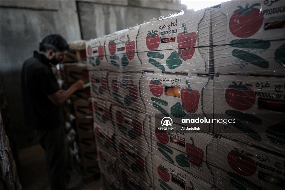 إسرائيل تخفف القيود على معابر "غزة" دون فتحها بشكل كامل