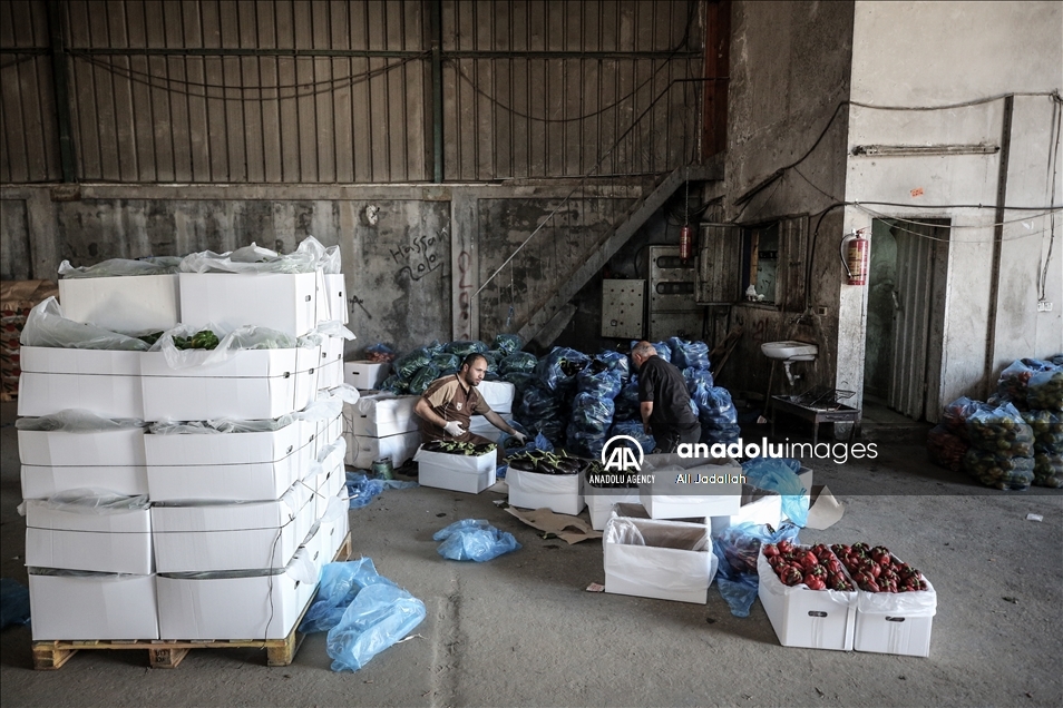 إسرائيل تخفف القيود على معابر "غزة" دون فتحها بشكل كامل