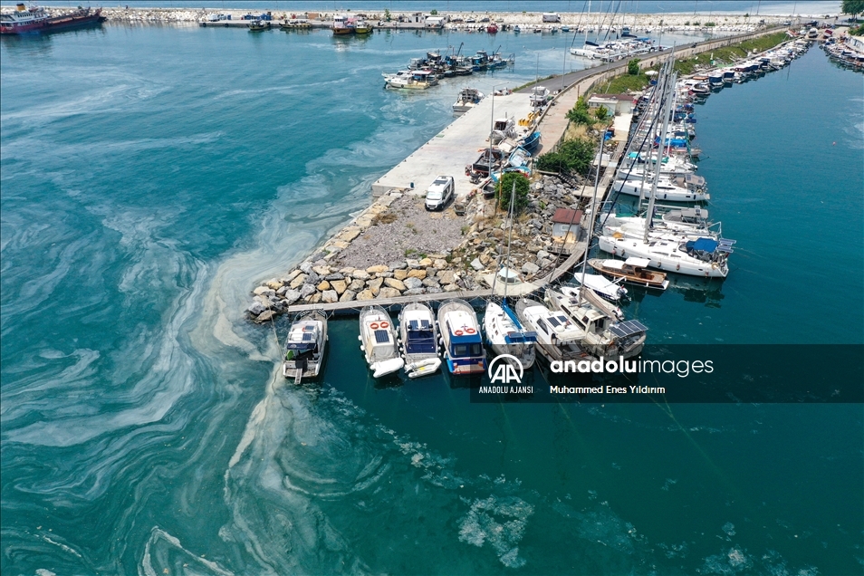 Deniz salyası Anadolu Yakası'nda bazı bölgelerde görülmeye devam ediyor