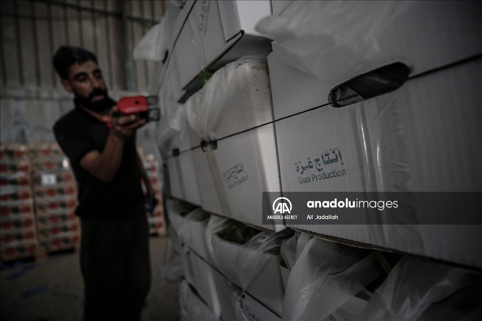 إسرائيل تخفف القيود على معابر "غزة" دون فتحها بشكل كامل