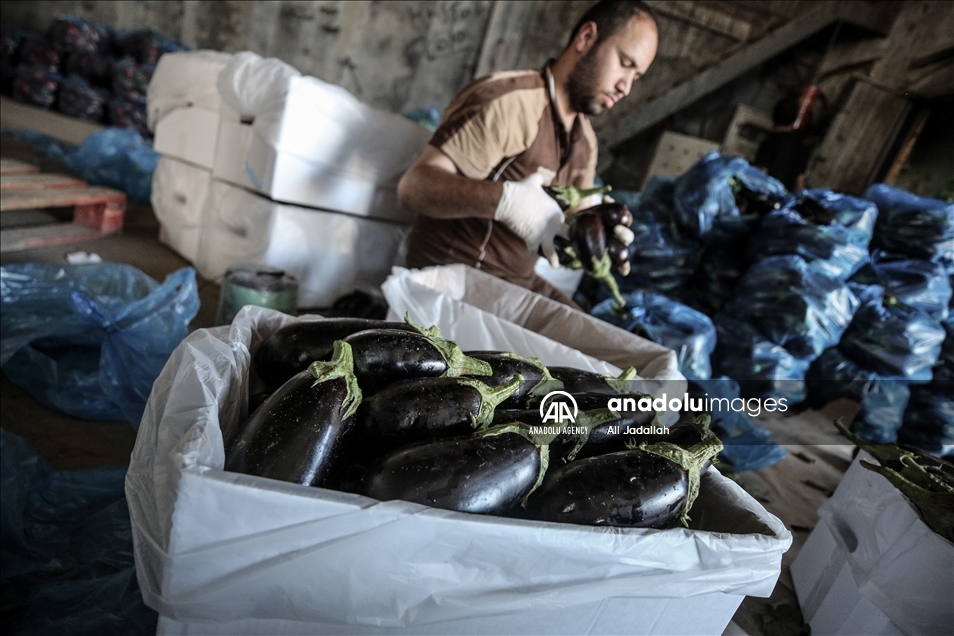 إسرائيل تخفف القيود على معابر "غزة" دون فتحها بشكل كامل