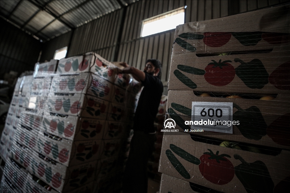 إسرائيل تخفف القيود على معابر "غزة" دون فتحها بشكل كامل