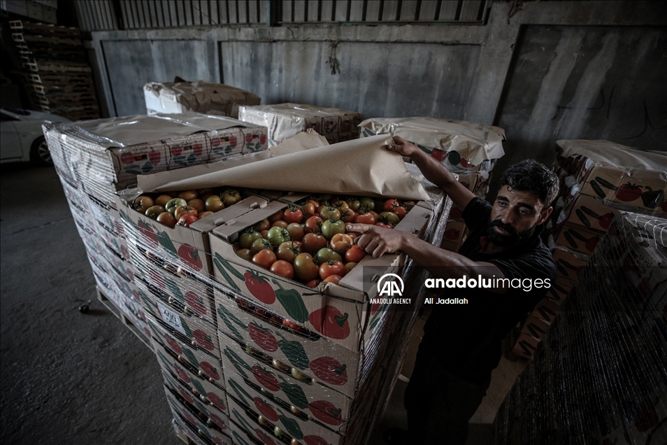 إسرائيل تخفف القيود على معابر "غزة" دون فتحها بشكل كامل