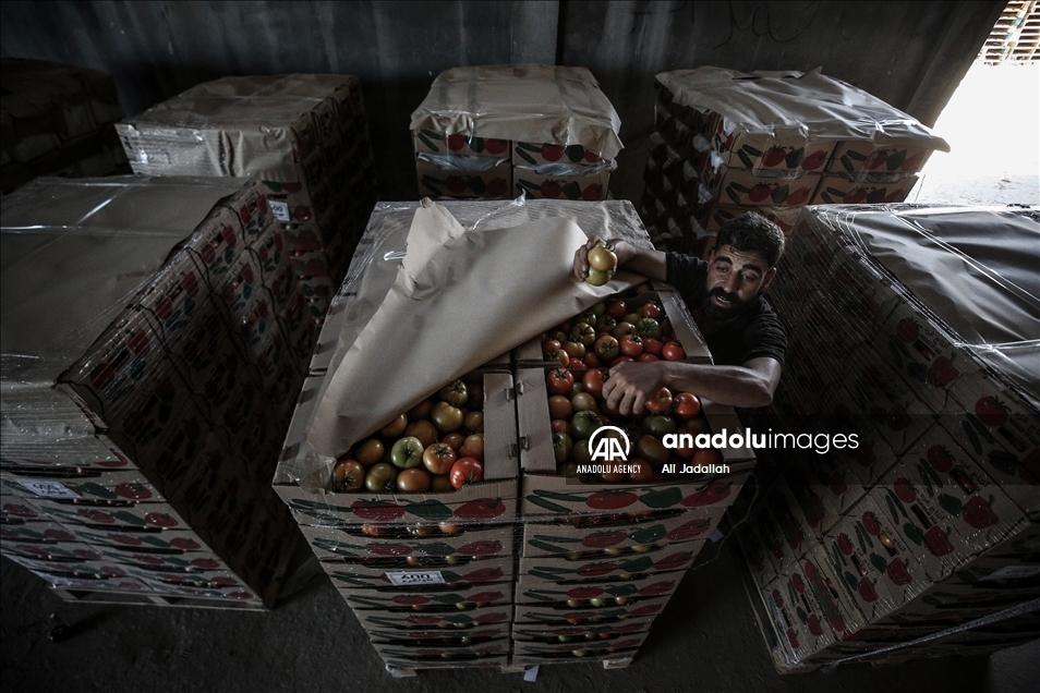 إسرائيل تخفف القيود على معابر "غزة" دون فتحها بشكل كامل