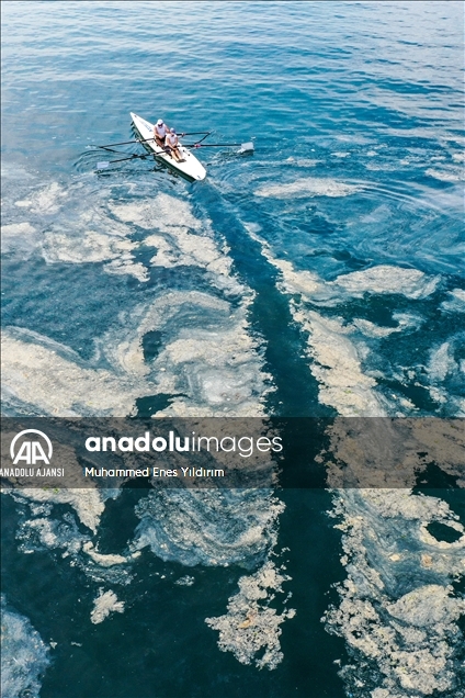 Deniz salyası Anadolu Yakası'nda bazı bölgelerde görülmeye devam ediyor