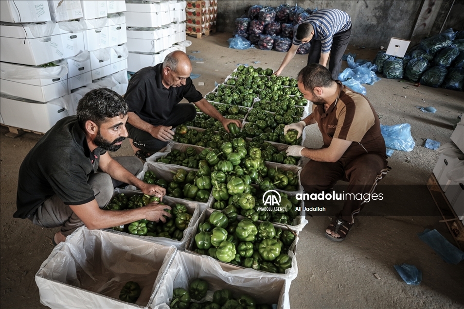 إسرائيل تخفف القيود على معابر "غزة" دون فتحها بشكل كامل