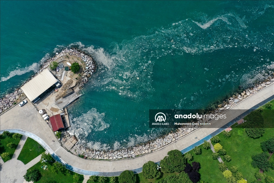 Deniz salyası Anadolu Yakası'nda bazı bölgelerde görülmeye devam ediyor