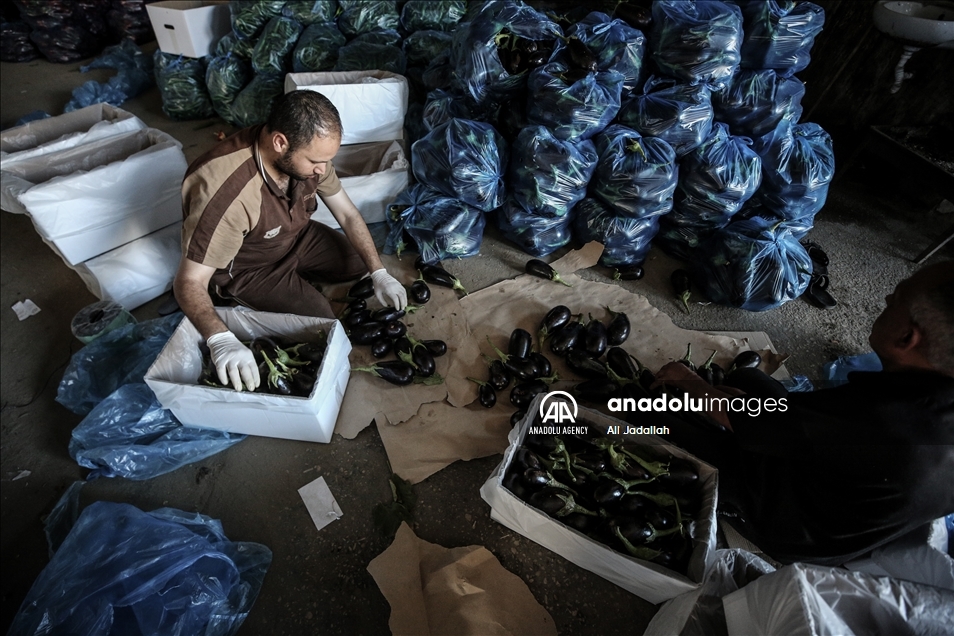 إسرائيل تخفف القيود على معابر "غزة" دون فتحها بشكل كامل