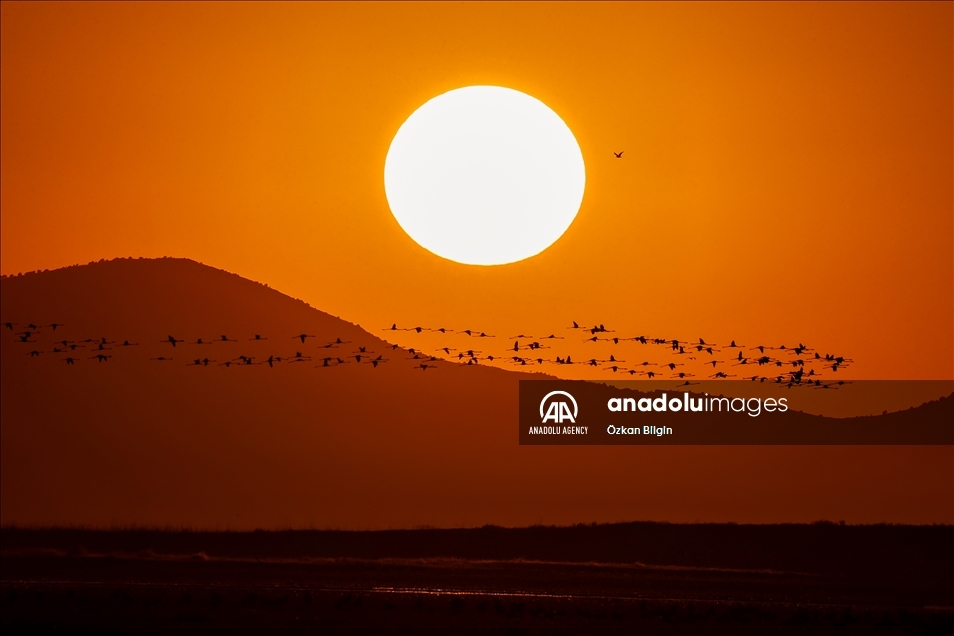 Sunset and birds at Lake Van