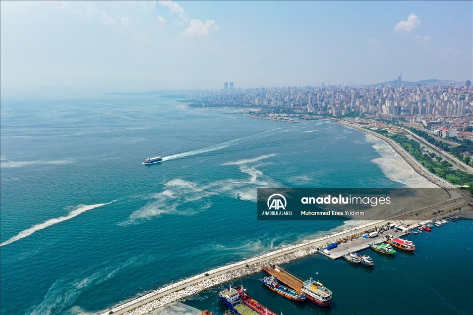 Deniz salyası Anadolu Yakası'nda görülmeye devam ediyor