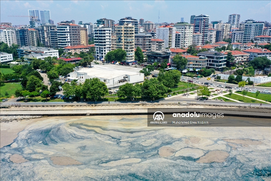 Deniz salyası Anadolu Yakası'nda görülmeye devam ediyor