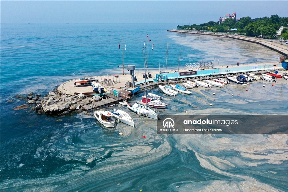 Deniz salyası Anadolu Yakası'nda görülmeye devam ediyor