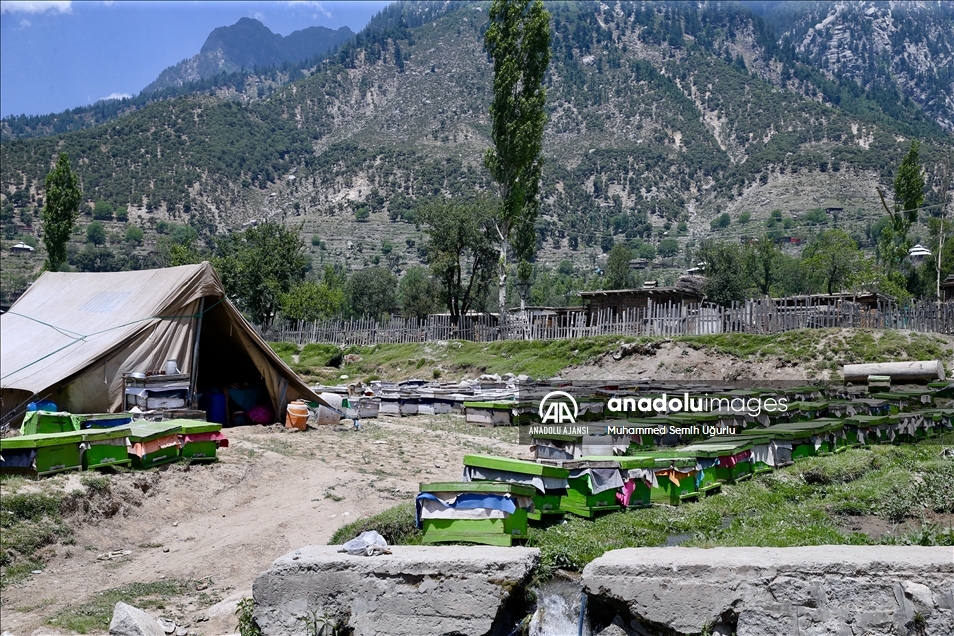 Pakistan'ın saklı incisi "Kumrat Vadisi" doğal güzellikleriyle ziyaretçilerini hayran bırakıyor