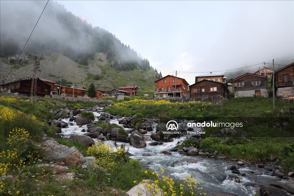 هضبة "ألفيت" التركية.. وجهة العرائس لالتقاط الصور التذكارية