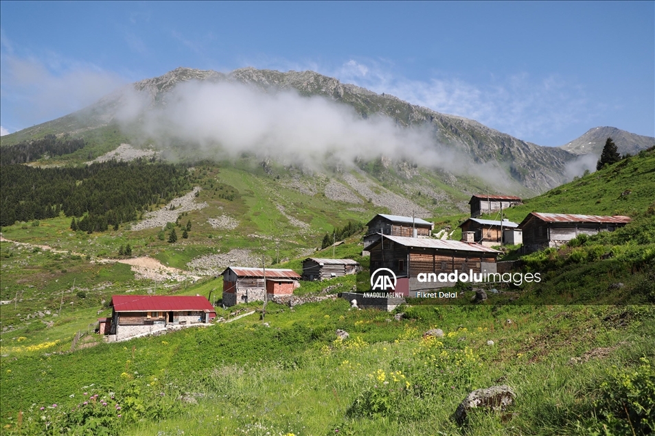 هضبة "ألفيت" التركية.. وجهة العرائس لالتقاط الصور التذكارية