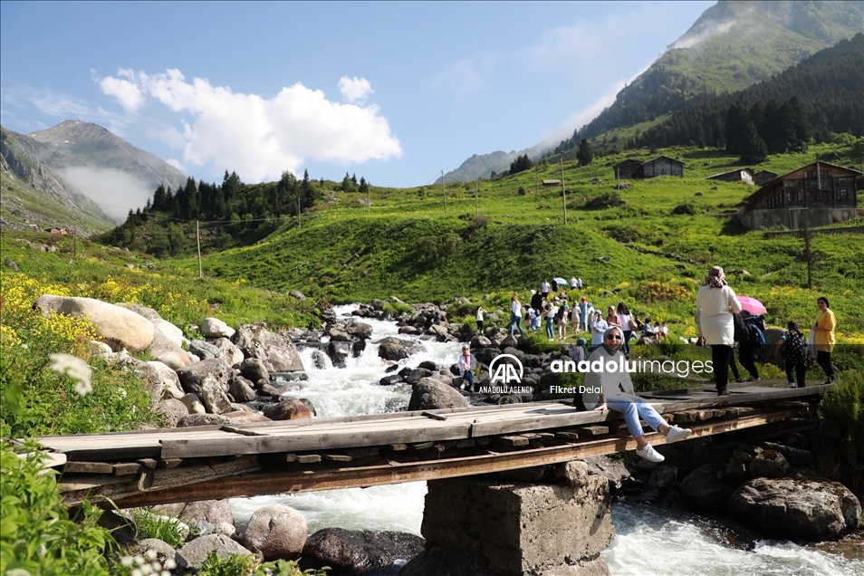 هضبة "ألفيت" التركية.. وجهة العرائس لالتقاط الصور التذكارية