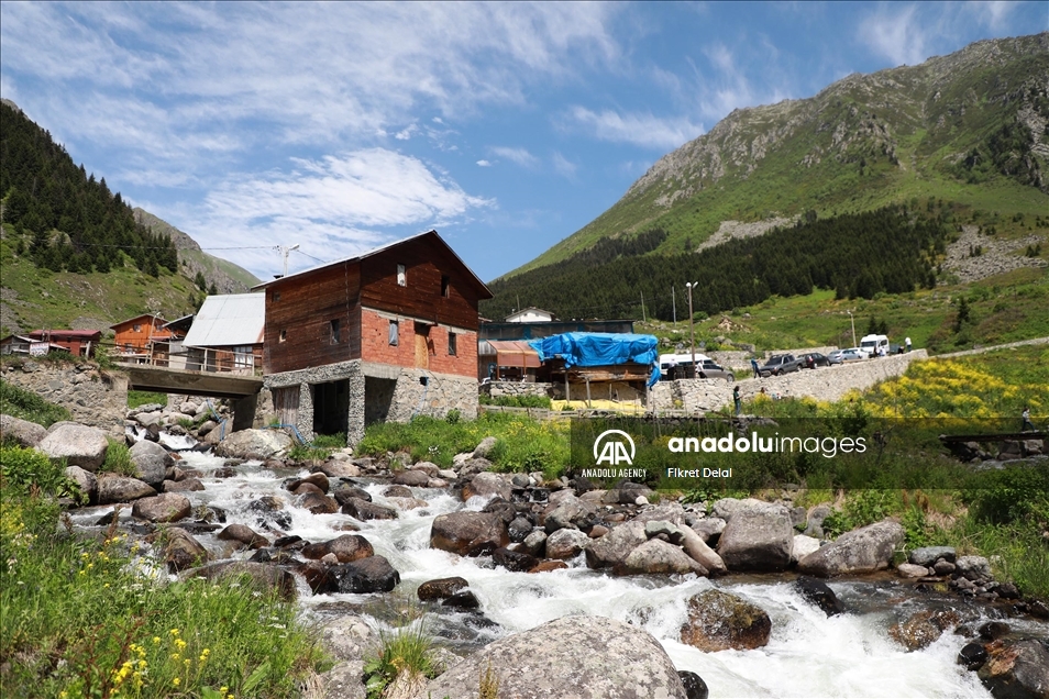 هضبة "ألفيت" التركية.. وجهة العرائس لالتقاط الصور التذكارية