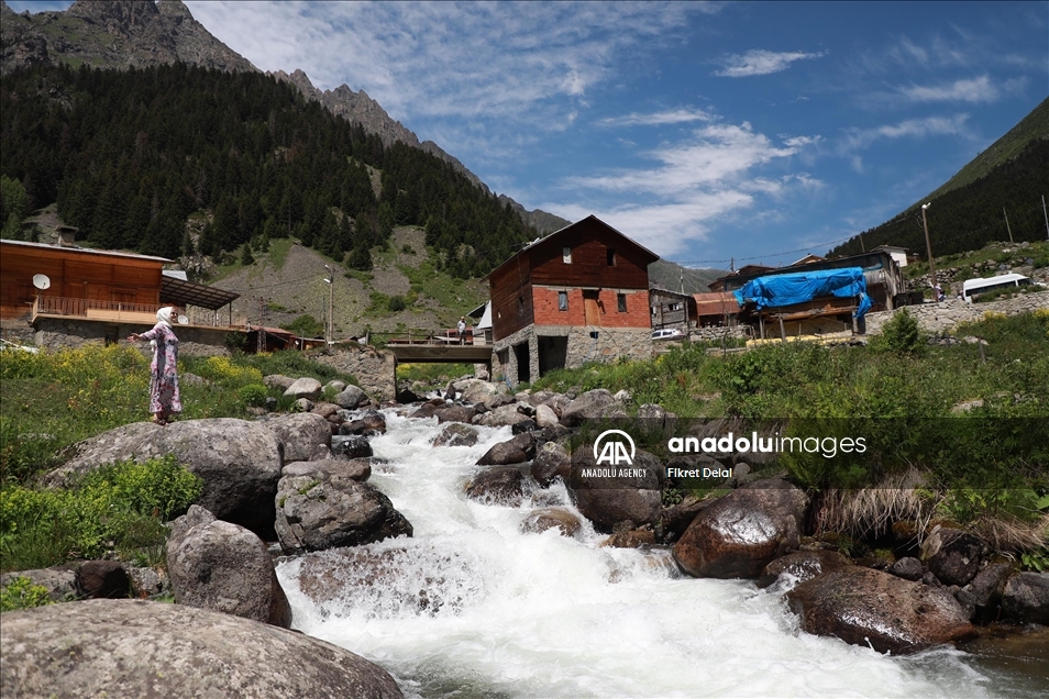 هضبة "ألفيت" التركية.. وجهة العرائس لالتقاط الصور التذكارية