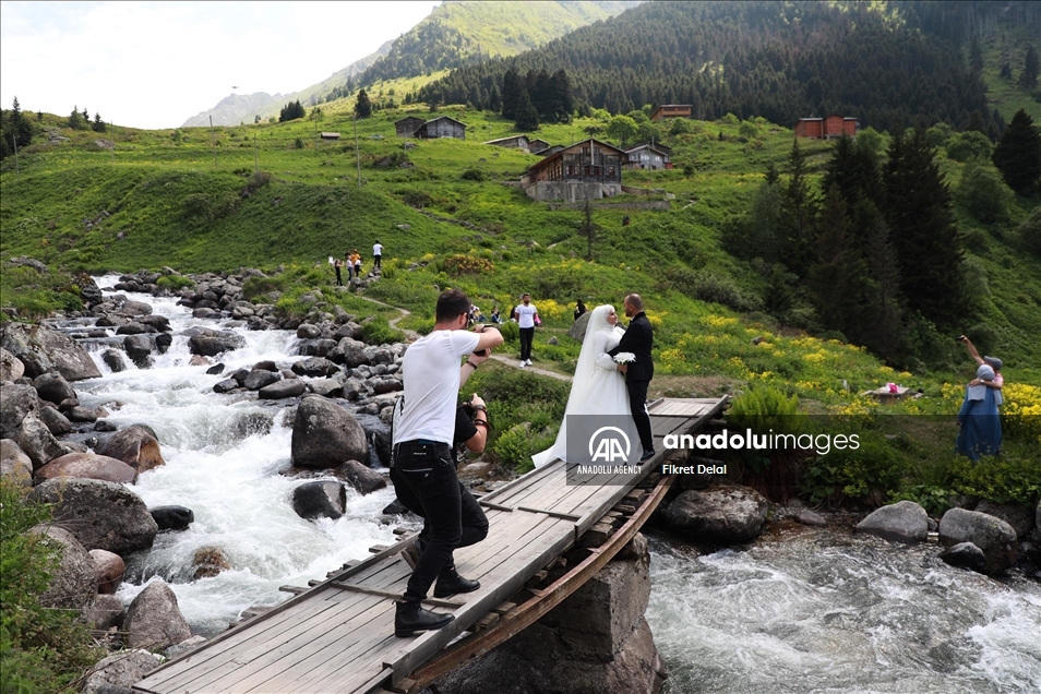 هضبة "ألفيت" التركية.. وجهة العرائس لالتقاط الصور التذكارية