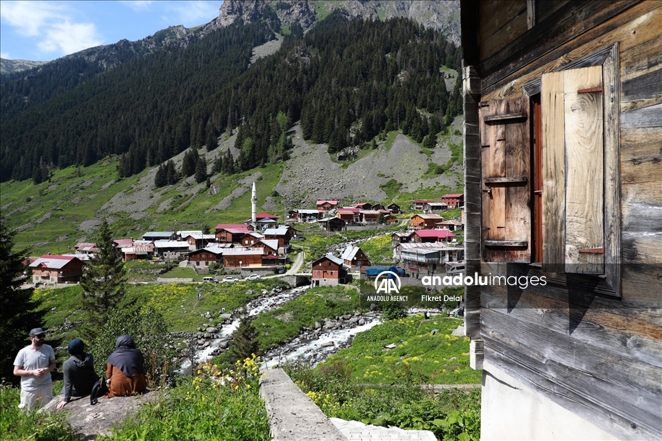 هضبة "ألفيت" التركية.. وجهة العرائس لالتقاط الصور التذكارية