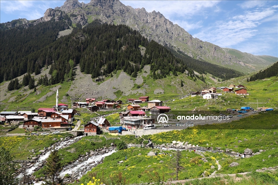 هضبة "ألفيت" التركية.. وجهة العرائس لالتقاط الصور التذكارية