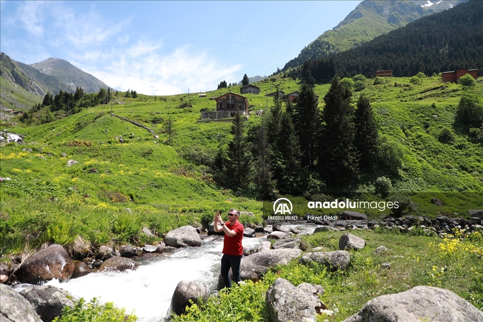 هضبة "ألفيت" التركية.. وجهة العرائس لالتقاط الصور التذكارية