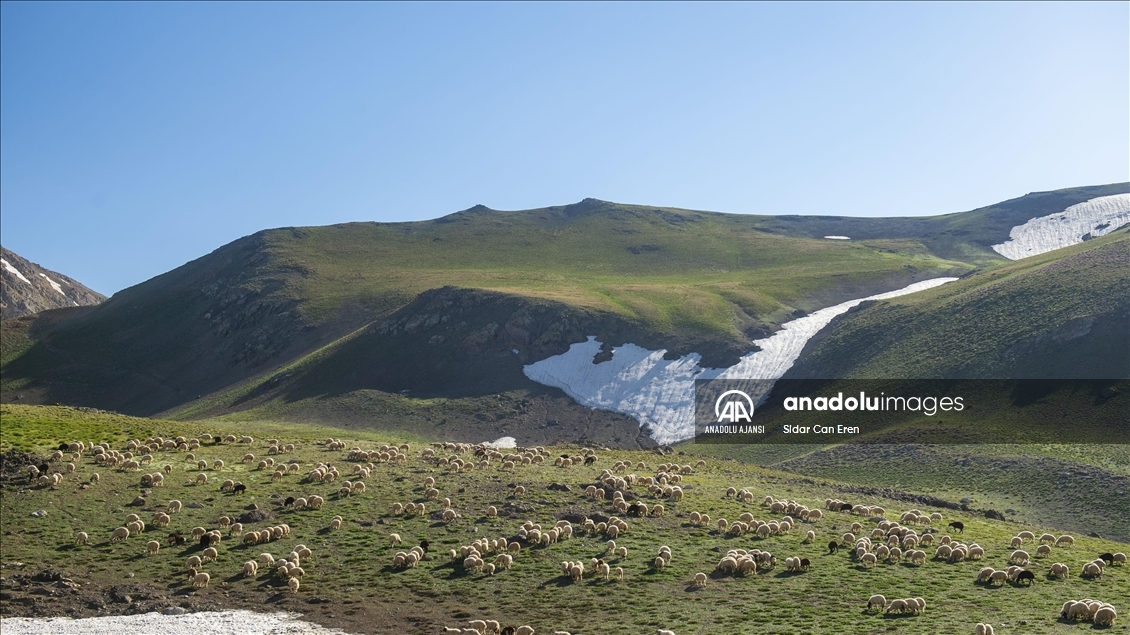 Tunceli'deki 3 bin 500 rakımlı "Elmalı Yaylası" doğal güzellikleriyle göz kamaştırıyor
