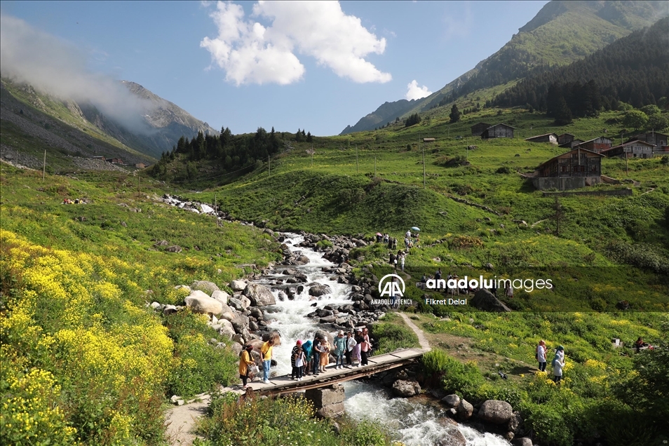 هضبة "ألفيت" التركية.. وجهة العرائس لالتقاط الصور التذكارية