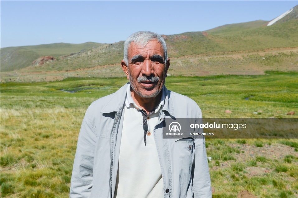 Tunceli'deki 3 bin 500 rakımlı "Elmalı Yaylası" doğal güzellikleriyle göz kamaştırıyor