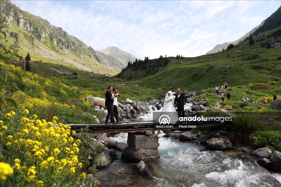 هضبة "ألفيت" التركية.. وجهة العرائس لالتقاط الصور التذكارية