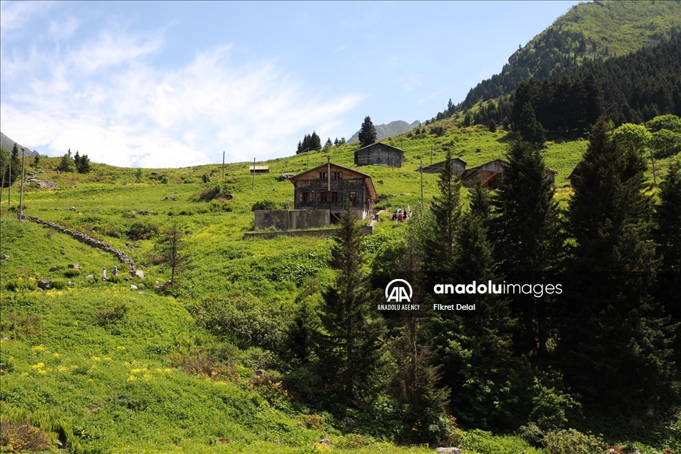 هضبة "ألفيت" التركية.. وجهة العرائس لالتقاط الصور التذكارية