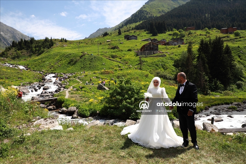 هضبة "ألفيت" التركية.. وجهة العرائس لالتقاط الصور التذكارية