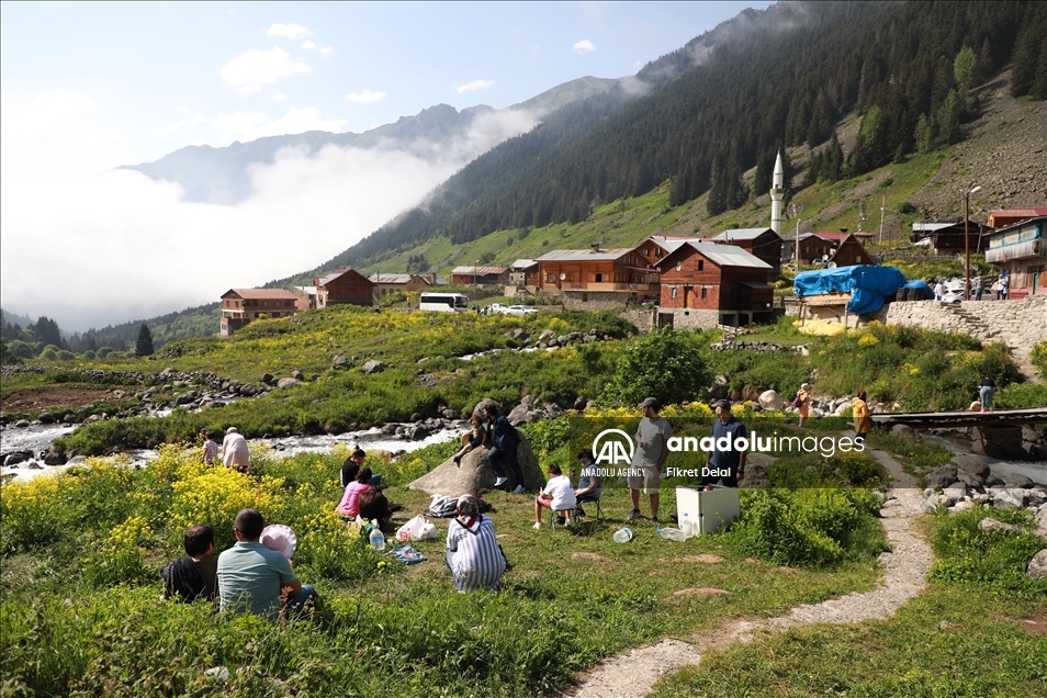 هضبة "ألفيت" التركية.. وجهة العرائس لالتقاط الصور التذكارية