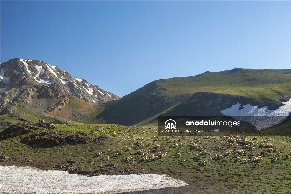 Tunceli'deki 3 bin 500 rakımlı "Elmalı Yaylası" doğal güzellikleriyle göz kamaştırıyor