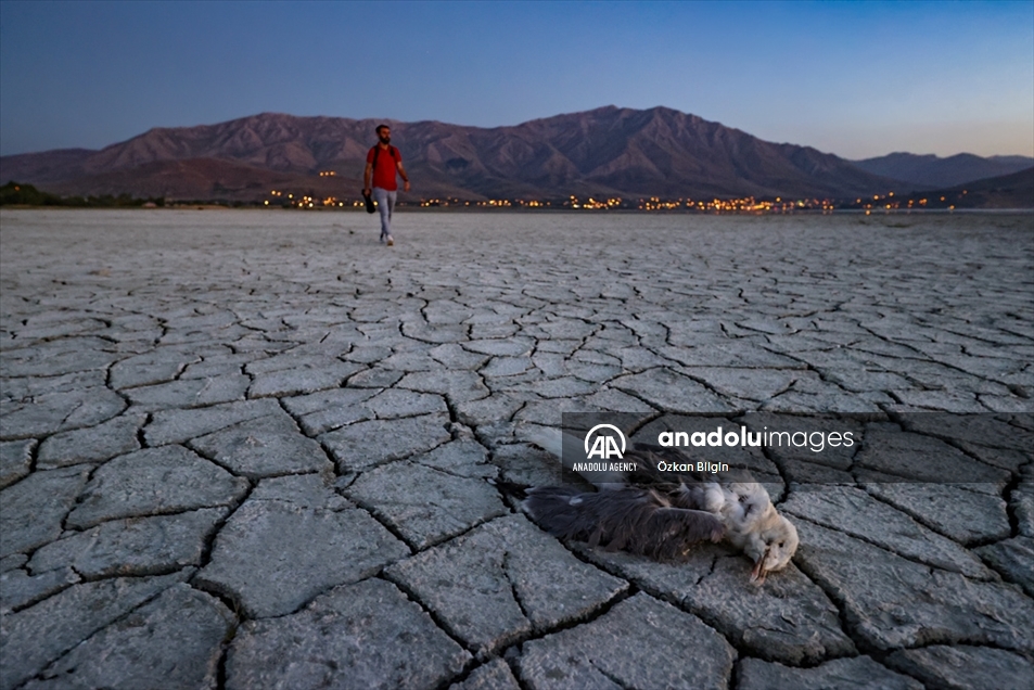 Más allá del cambio climático: sequía y evaporación en Van, Turquía