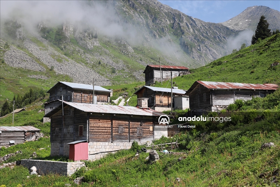 هضبة "ألفيت" التركية.. وجهة العرائس لالتقاط الصور التذكارية