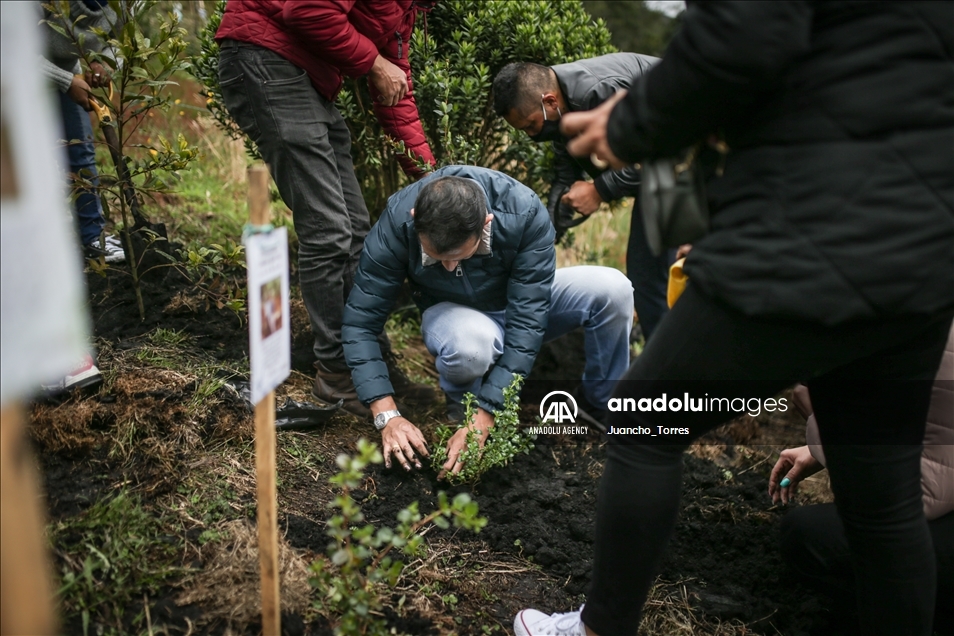 Páramo en Colombia se convierte en la última morada para algunas de las víctimas de la COVID-19