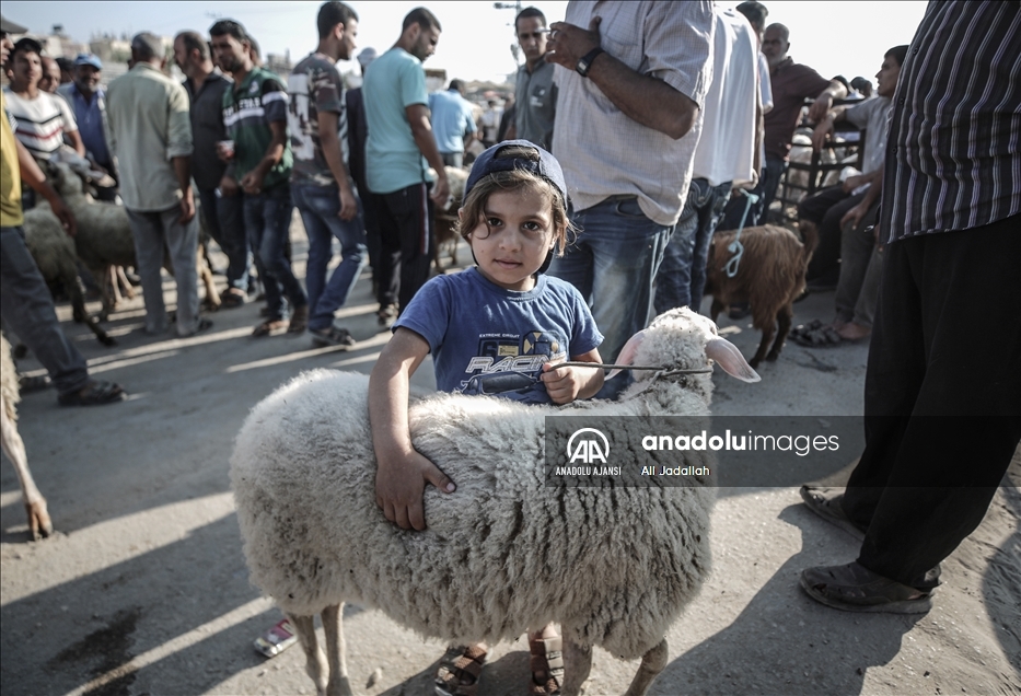 Gazze'deki kurban pazarlarında bayram hareketliliği başladı