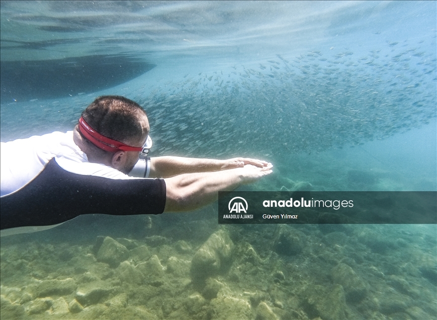 Göcek koyları serbest dalış tutkunlarını ağırlıyor