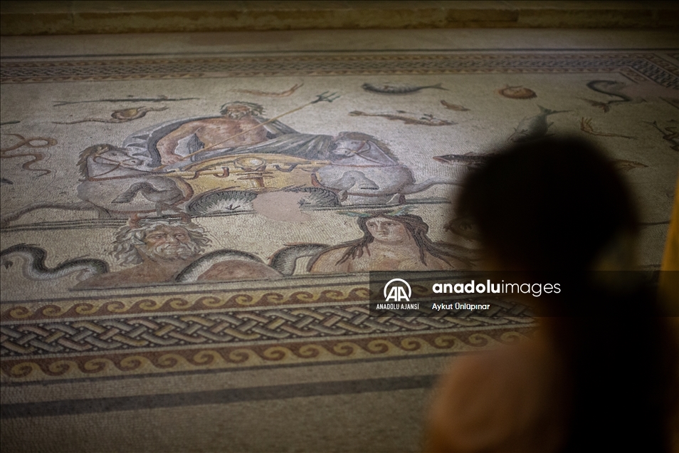 Gaziantep'te bulunan dünyanın en büyük mozaik müzelerinden Zeugma Mozaik Müzesi