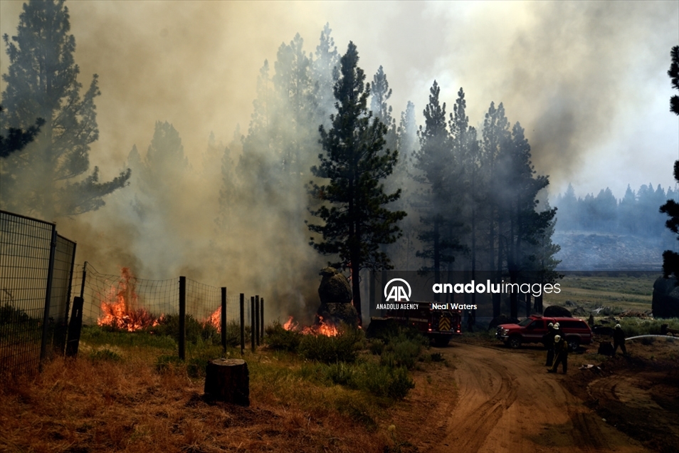 Continúa incendio forestal en California, EEUU