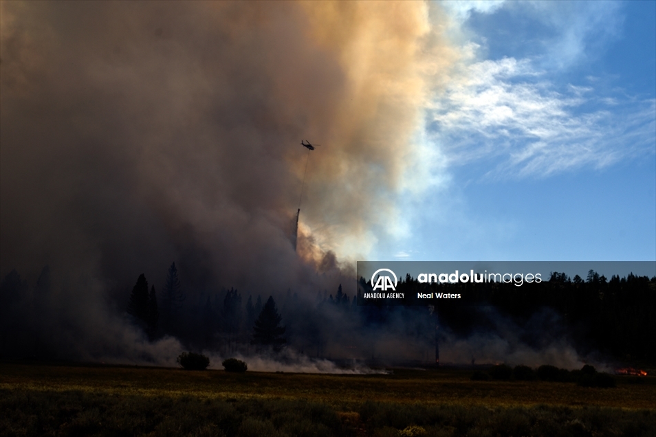 Continúa incendio forestal en California, EEUU