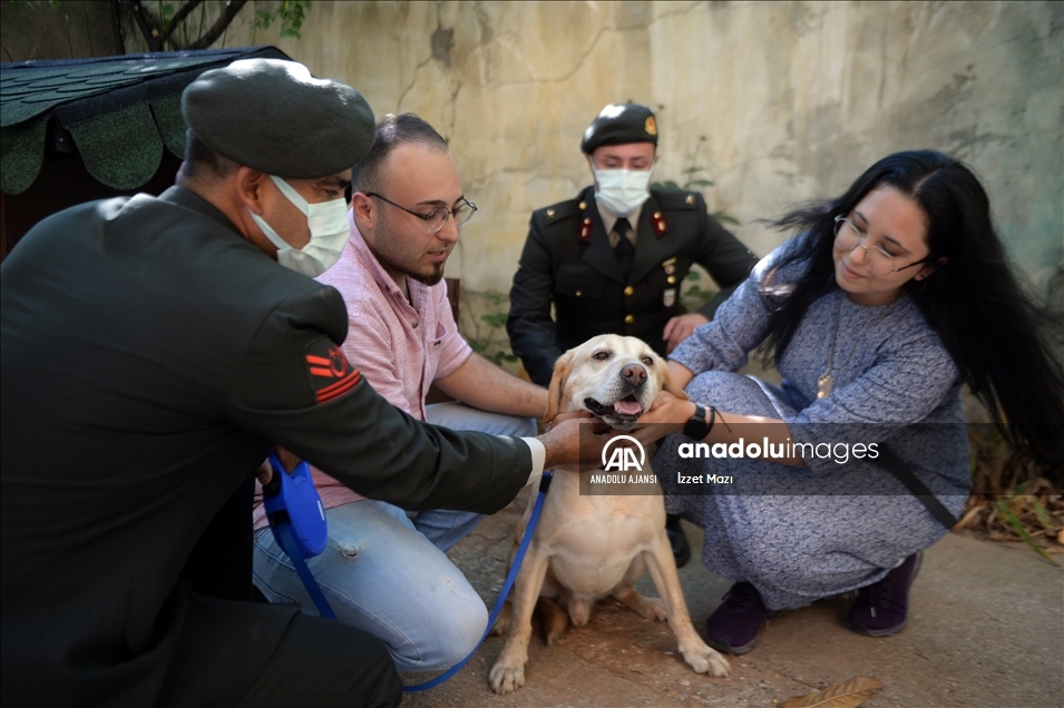 Oğullarını şehit verdikleri saldırıda gazi olan görev köpeği Atmaca'yı sahiplendiler