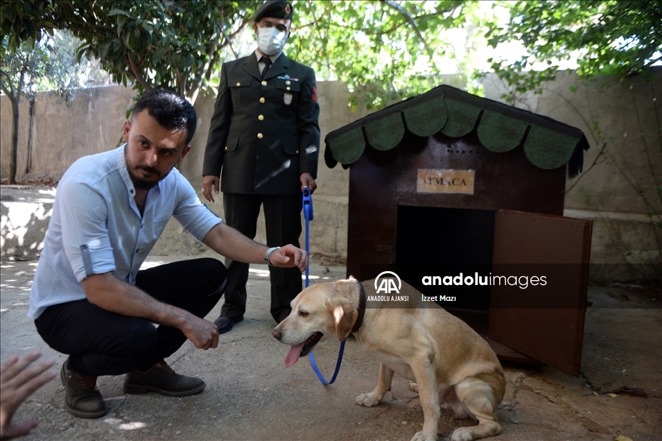 Oğullarını şehit verdikleri saldırıda gazi olan görev köpeği Atmaca'yı sahiplendiler